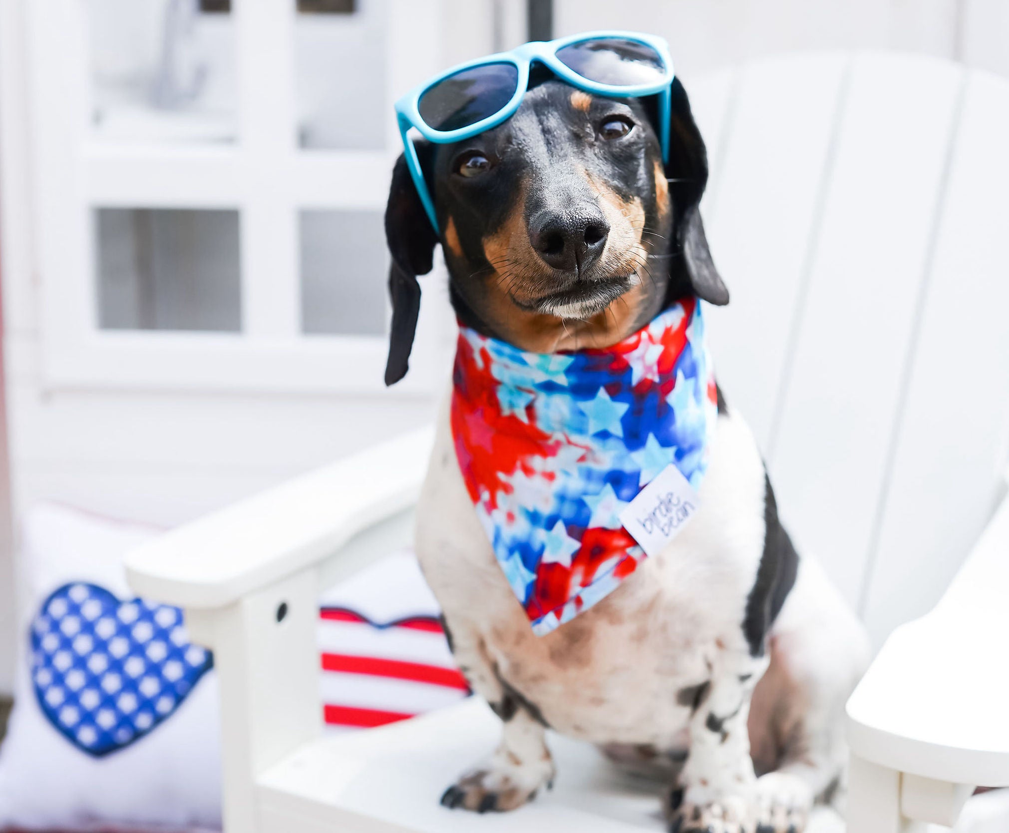 PET BANDANAS