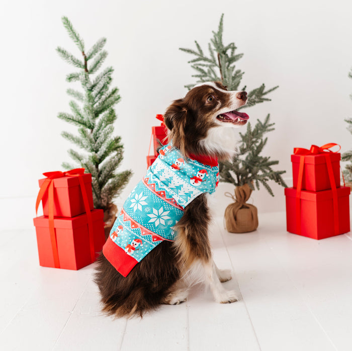 Frosty Fair Isle Pet Sweatshirt