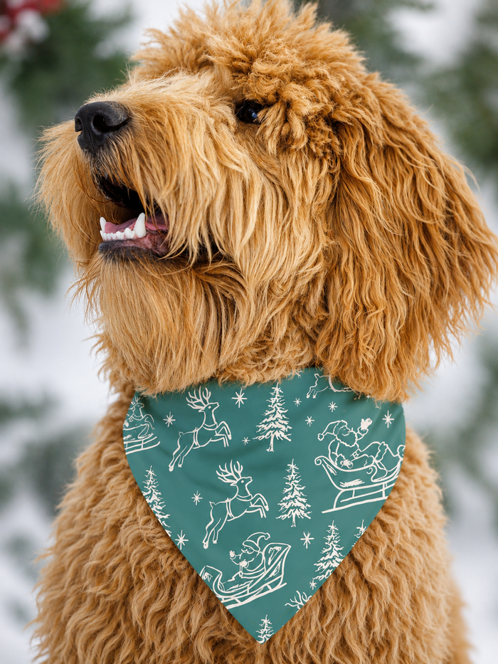 PRE SALE: Vintage Sleigh Christmas Pet Bandana