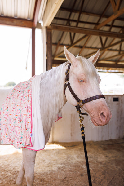 Dolly Plush Toddler Blanket