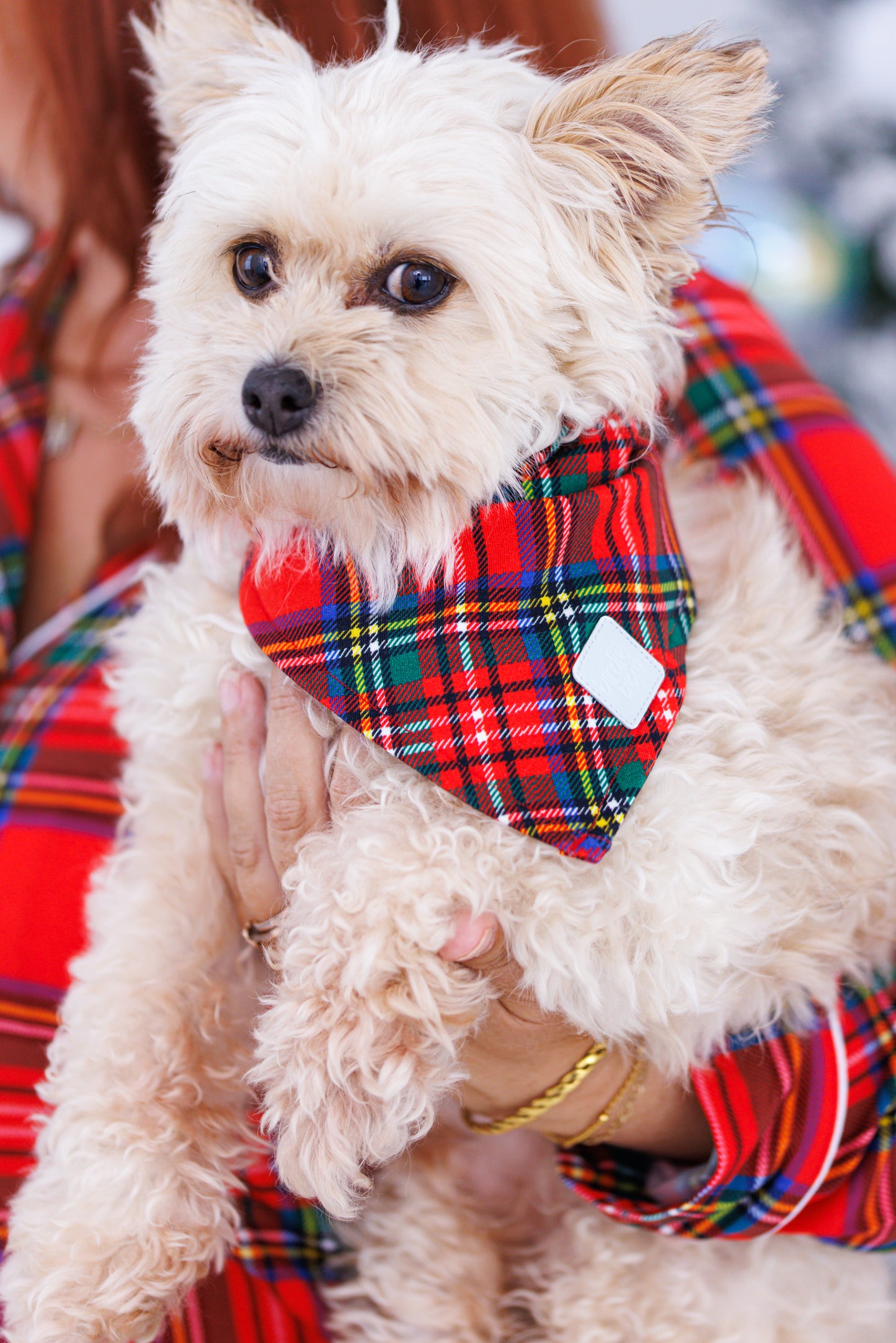 Soft bamboo pet bandana with plaid pattern