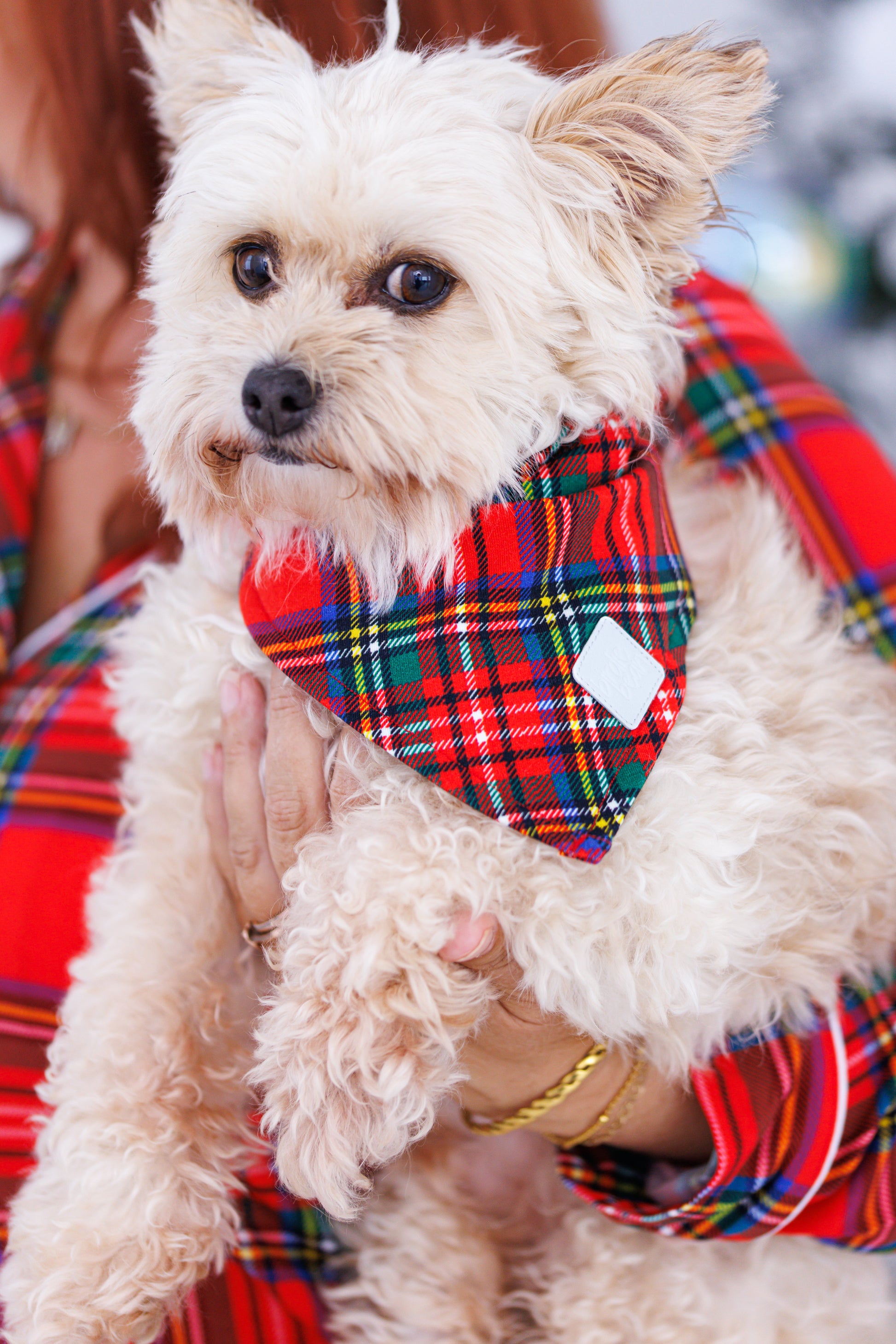 Soft bamboo pet bandana with plaid pattern
