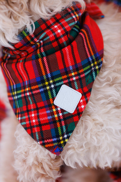 tartan plaid pet bandana