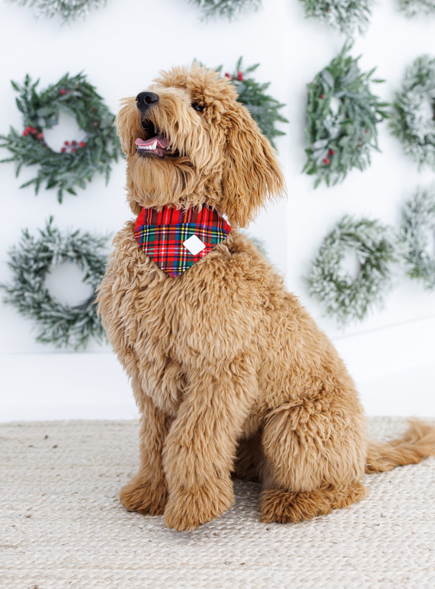 Tartan Plaid Pet Bandana made from bamboo viscose and cotton