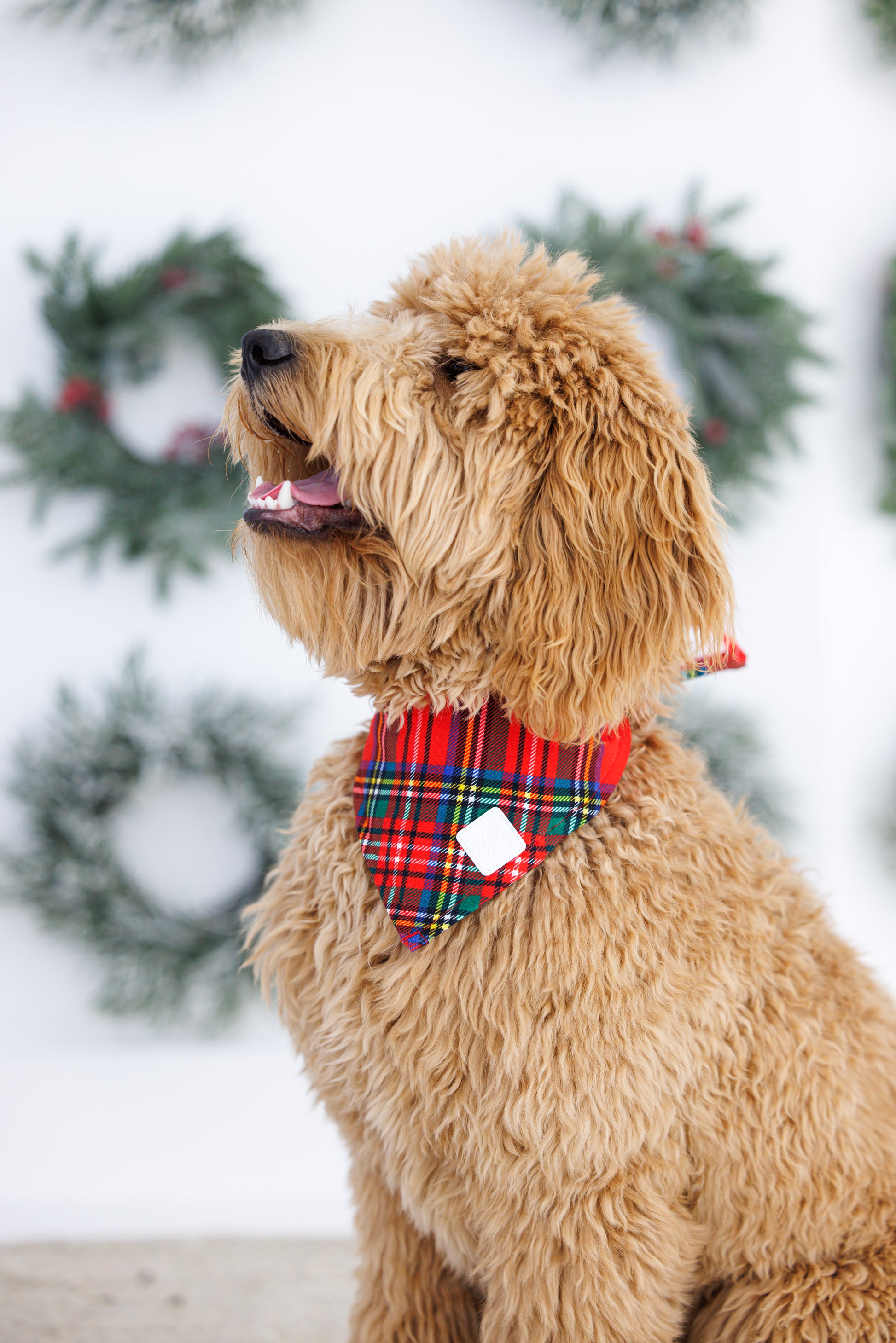 Dog bandana in classic tartan plaid for matching outfits