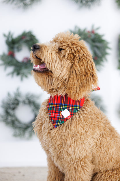 Dog bandana in classic tartan plaid for matching outfits