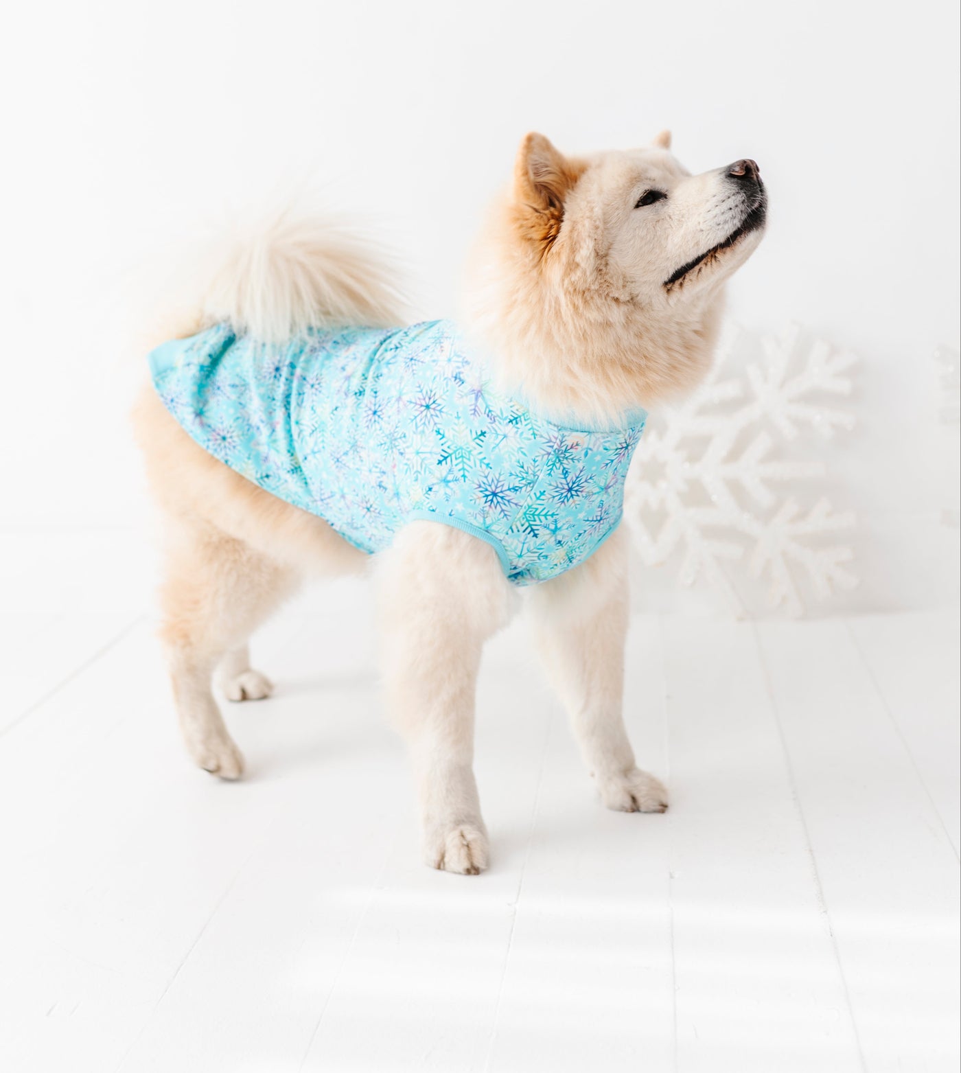 Crystal Pet Sweatshirt