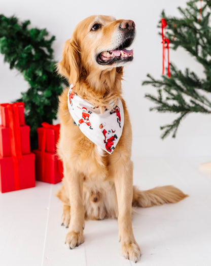 A golden retriever dog wearing a white bandana with a red Santa Claus pattern, sitting in a festive holiday setting with Christmas trees and red wrapped gifts.