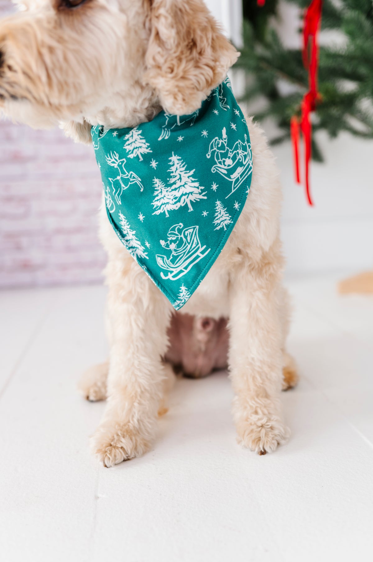 A medium-size dog wearing a bamboo bandana featuring a vintage scene with Santa, his reindeer, and pine trees