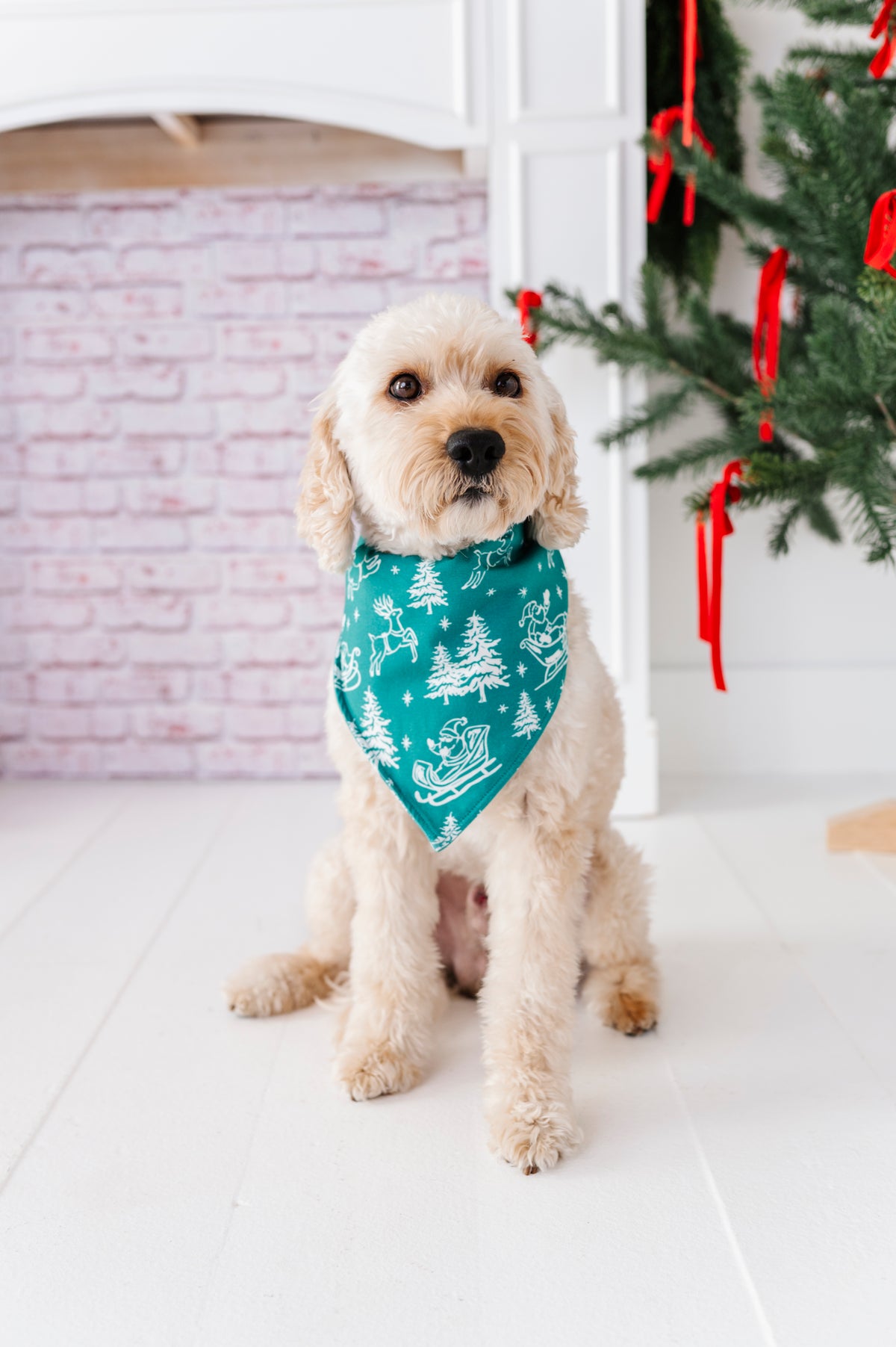 A medium-size dog wearing a bamboo bandana featuring a vintage Santa and his reindeer scene 