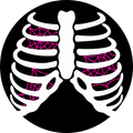 Bones Glow-In-The-Dark - PINK