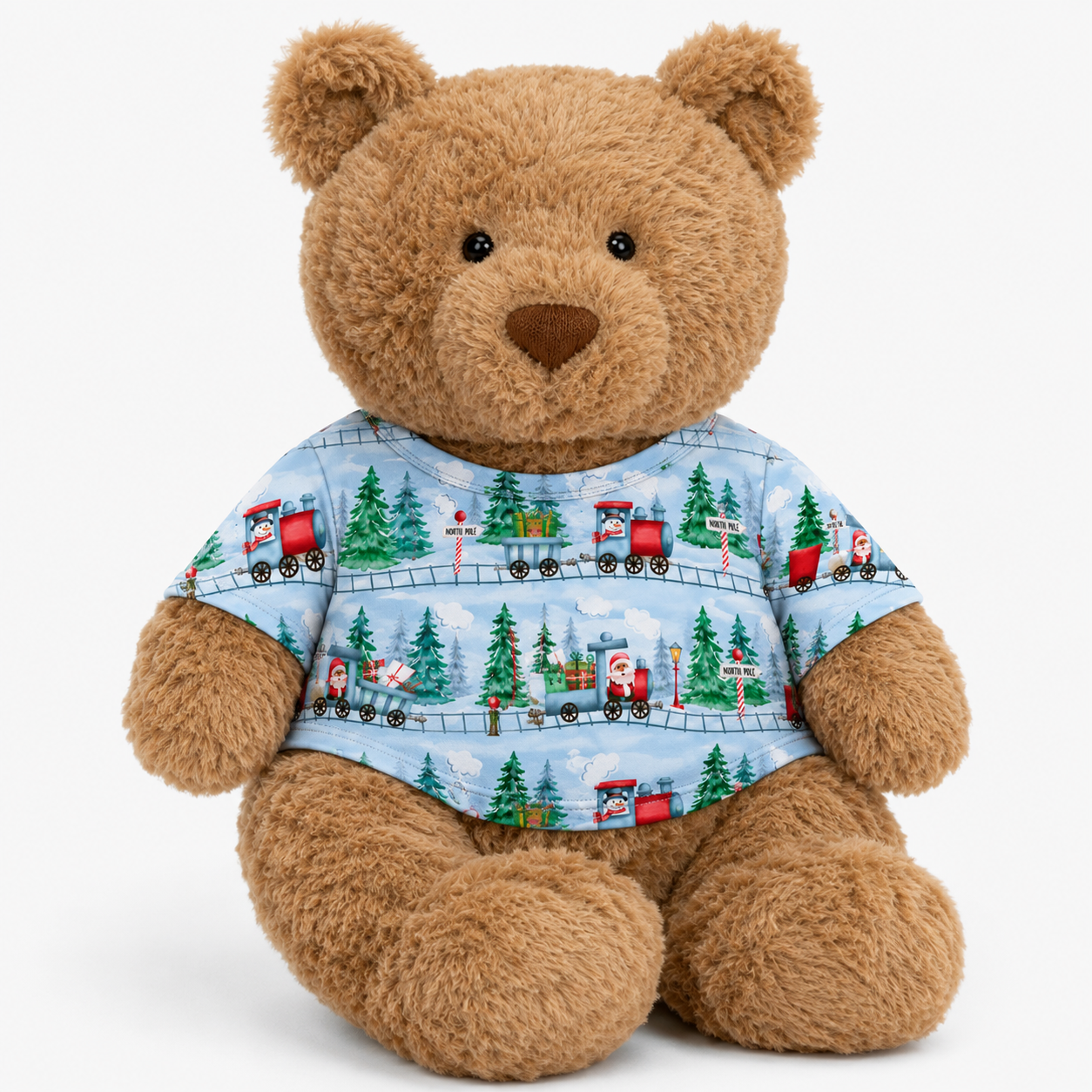 PRE-ORDER: North Pole Express Stuffy Tee