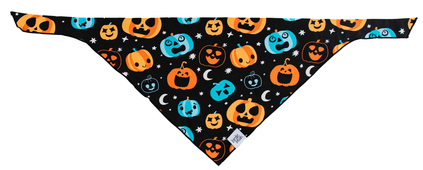 Dex Glow-In-The-Dark Pet Bandana