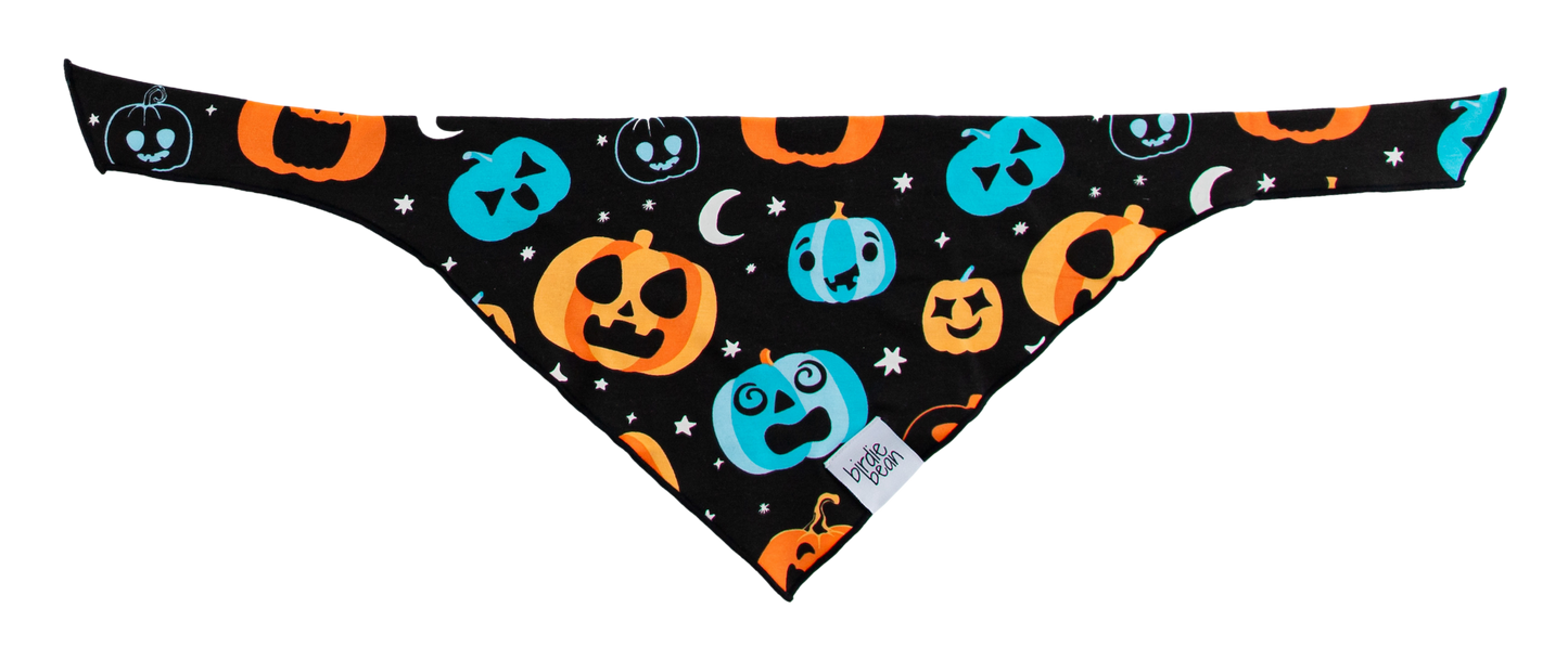 Dex Glow-In-The-Dark Pet Bandana
