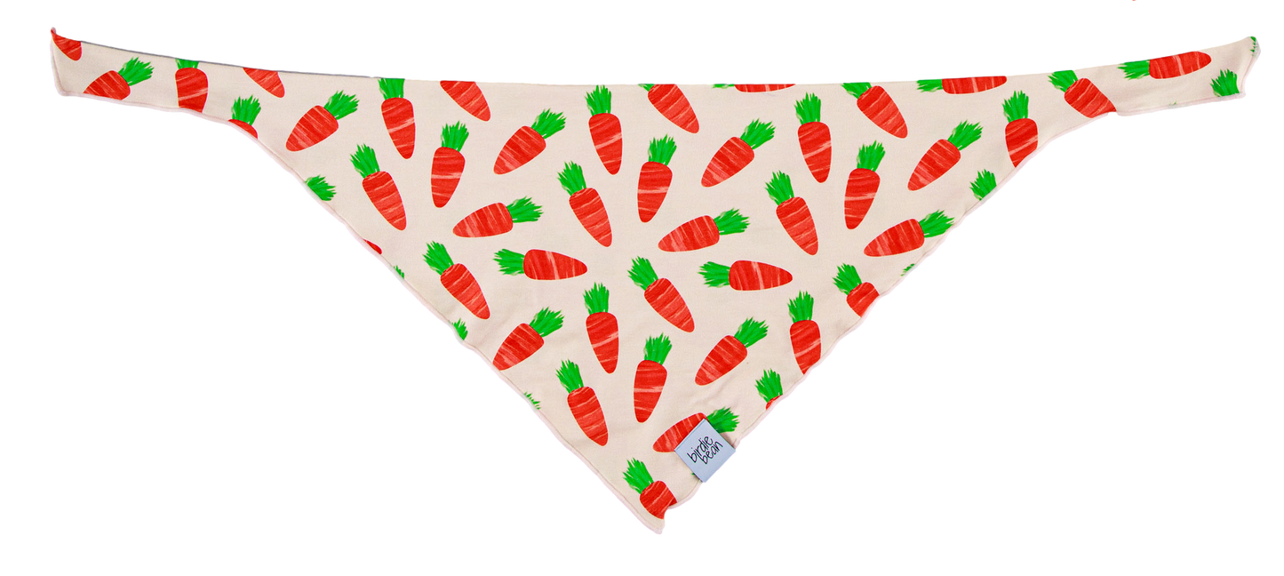 Ezra Pet Bandana