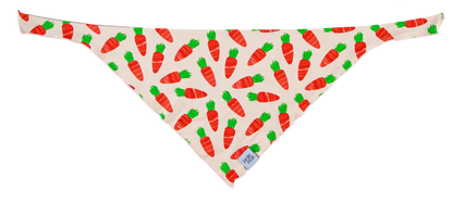Ezra Pet Bandana