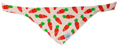 Ezra Pet Bandana