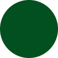 Green Velvet Headband