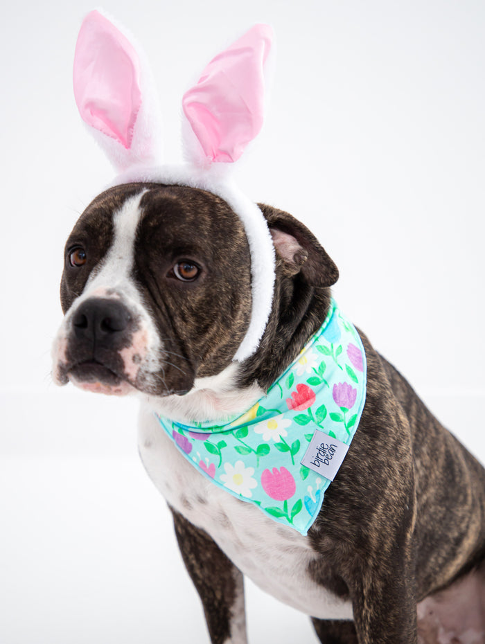 Blossom Pet Bandana