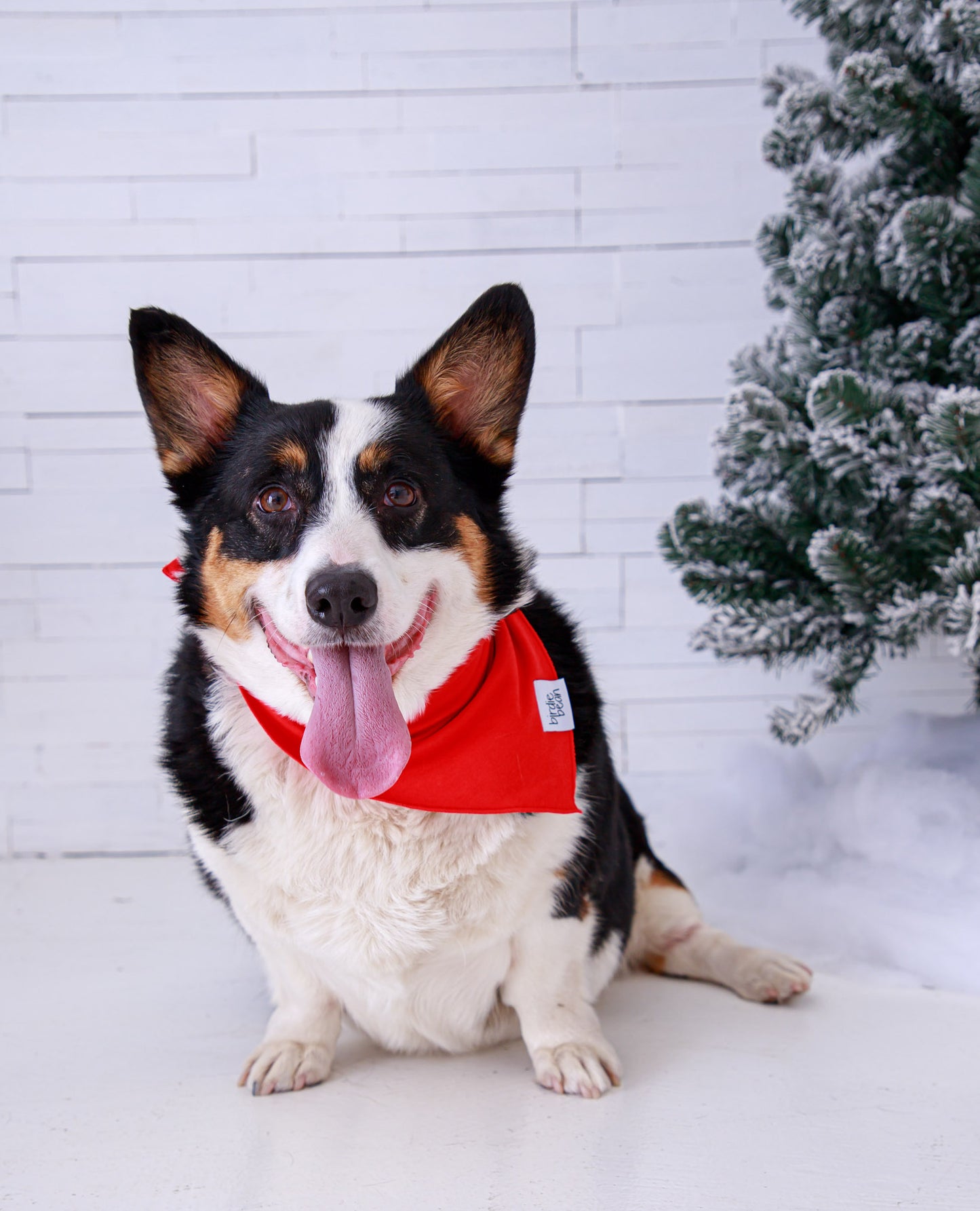 Dog wearing a red bamboo bandana sitting in front of a snowy landscape with a Christmas tree.