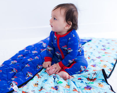 Sebastian/Cooper toddler birdie quilt