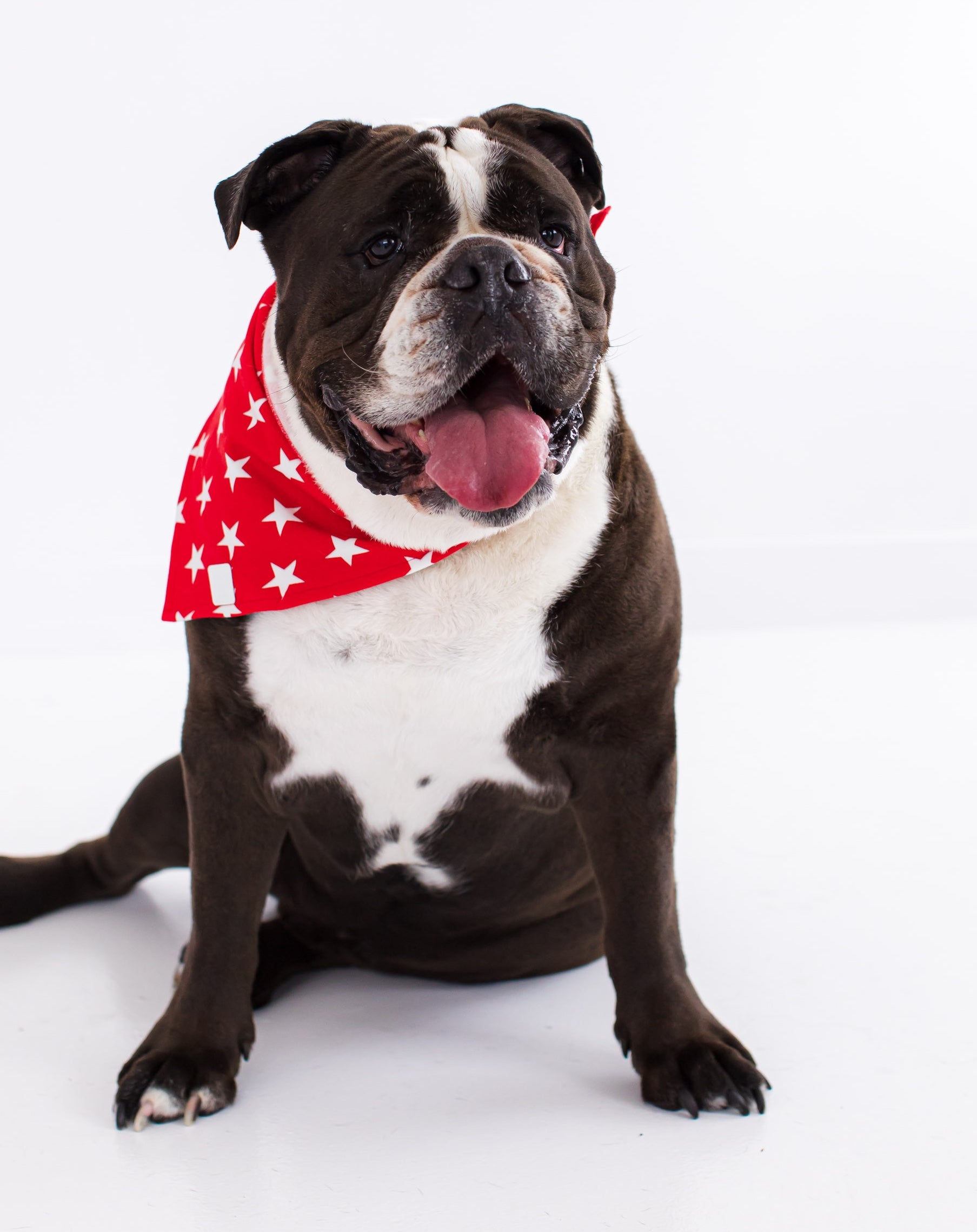 Bamboo blend dog bandana for family matching