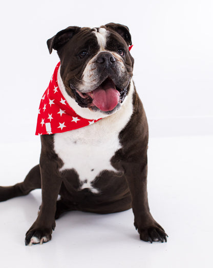 Bamboo blend dog bandana for family matching