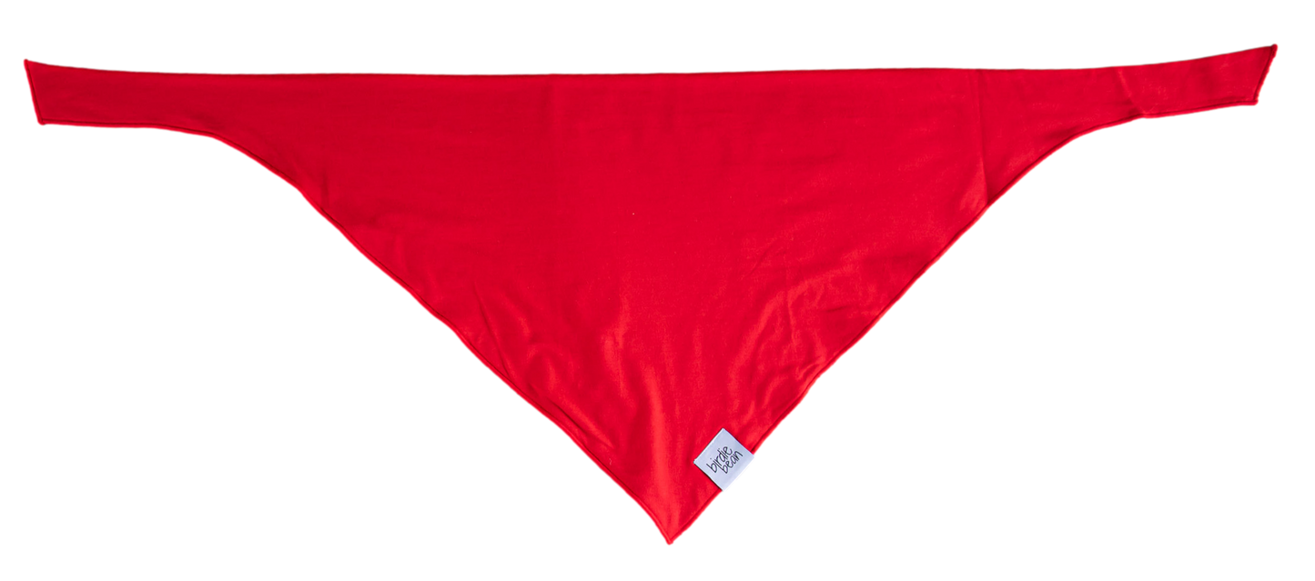 Red bamboo dog bandana