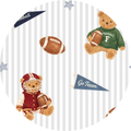 Touchdown Teddy
