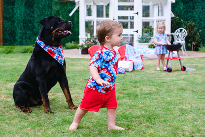 Maverick Pet Bandana