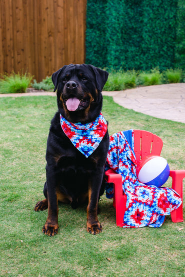 Maverick Pet Bandana
