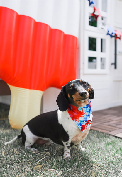 Maverick Pet Bandana