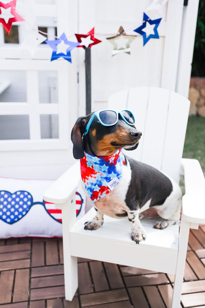 Maverick Pet Bandana