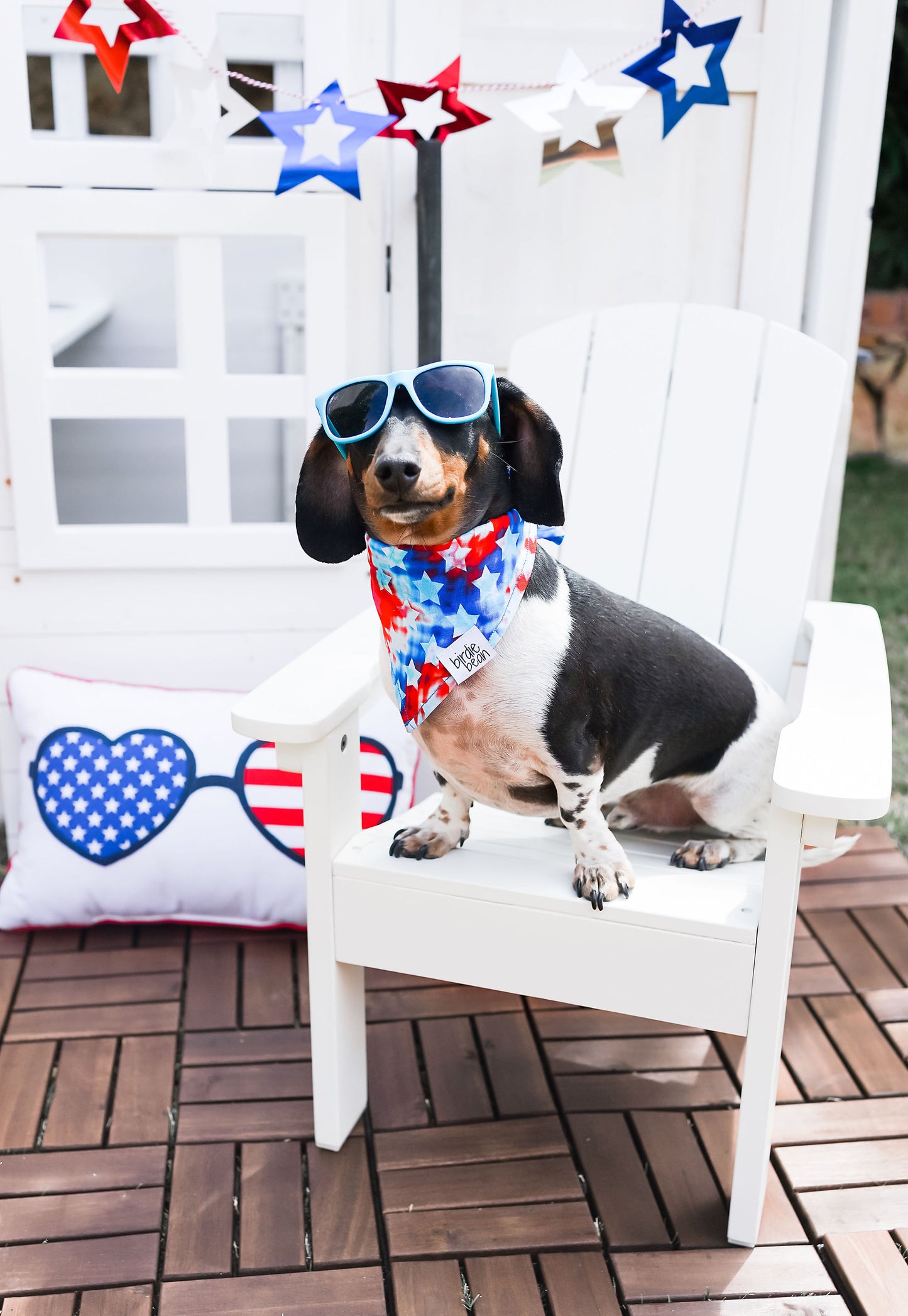 Maverick Pet Bandana