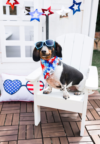 Maverick Pet Bandana