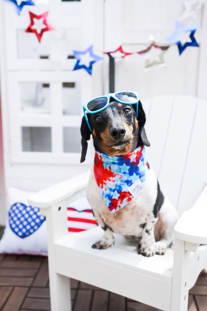 Maverick Pet Bandana
