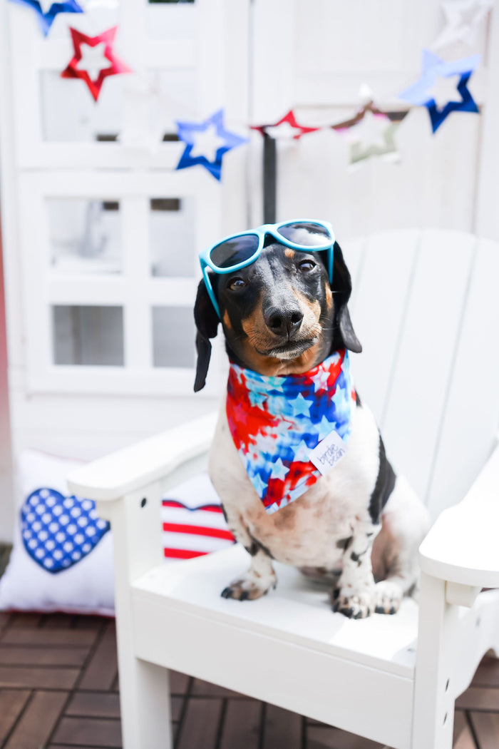 Maverick Pet Bandana